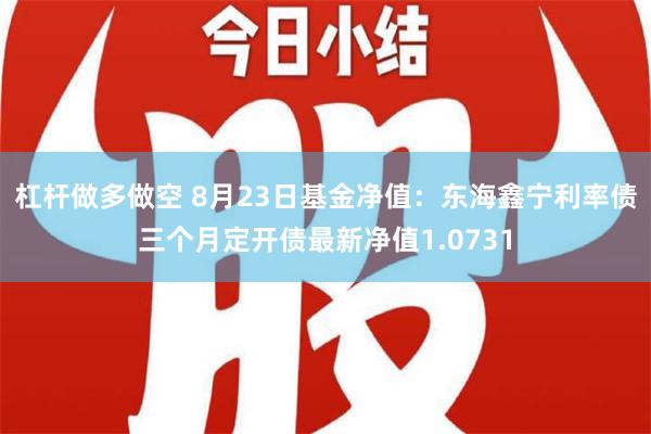 杠杆做多做空 8月23日基金净值：东海鑫宁利率债三个月定开债最新净值1.0731