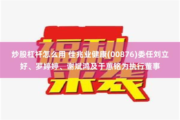 炒股杠杆怎么用 佳兆业健康(00876)委任刘立好、罗婷婷、谢斌鸿及于蕙铭为执行董事