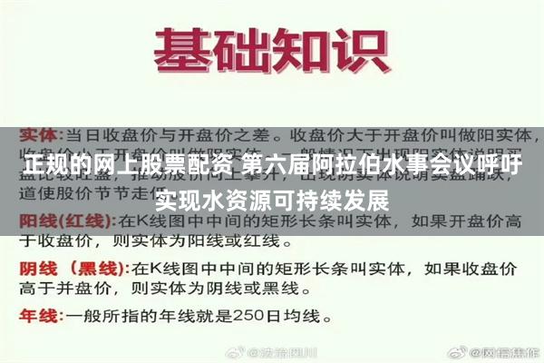 正规的网上股票配资 第六届阿拉伯水事会议呼吁实现水资源可持续发展