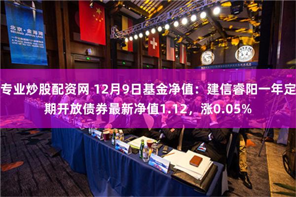 专业炒股配资网 12月9日基金净值：建信睿阳一年定期开放债券最新净值1.12，涨0.05%