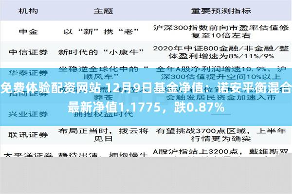 免费体验配资网站 12月9日基金净值：诺安平衡混合最新净值1.1775，跌0.87%