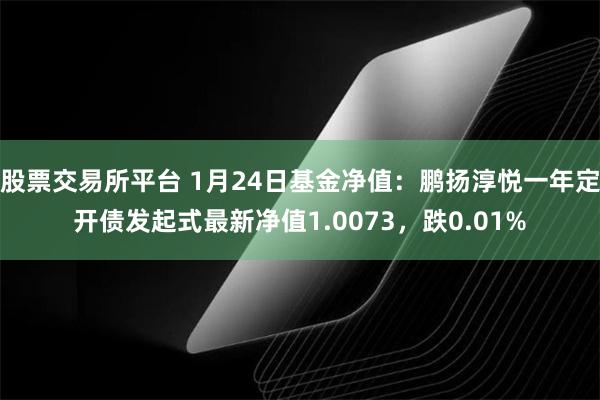 股票交易所平台 1月24日基金净值：鹏扬淳悦一年定开债发起式最新净值1.0073，跌0.01%