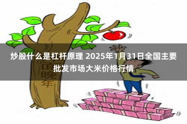 炒股什么是杠杆原理 2025年1月31日全国主要批发市场大米价格行情