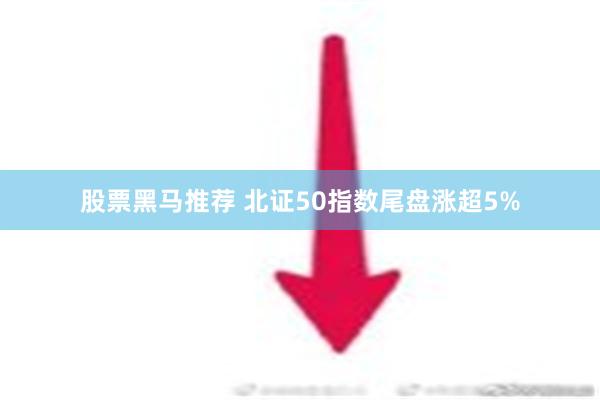 股票黑马推荐 北证50指数尾盘涨超5%